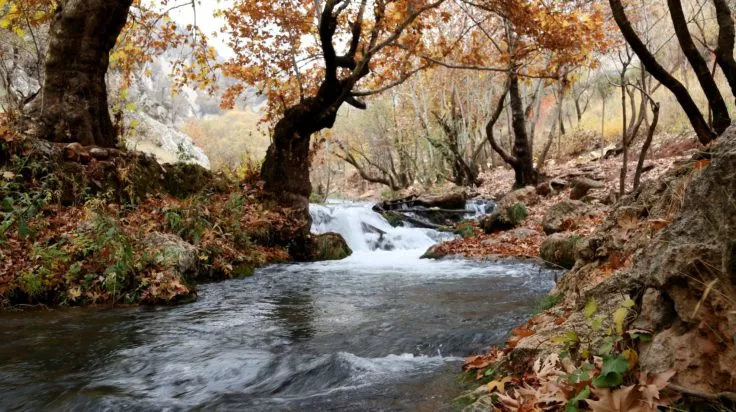 Photo of a river with trees…