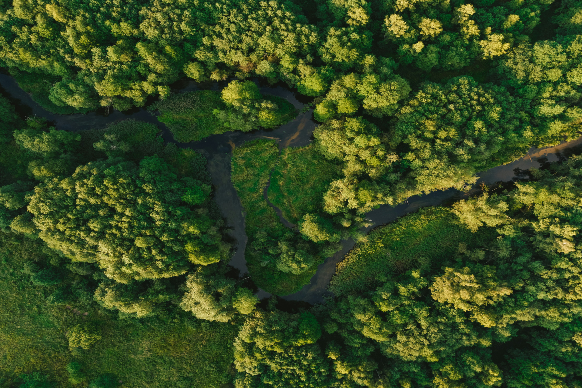 Broadcasters Use Testlio to Assure the Big Game Live Stream