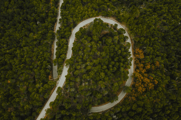 Customer Experience Testing