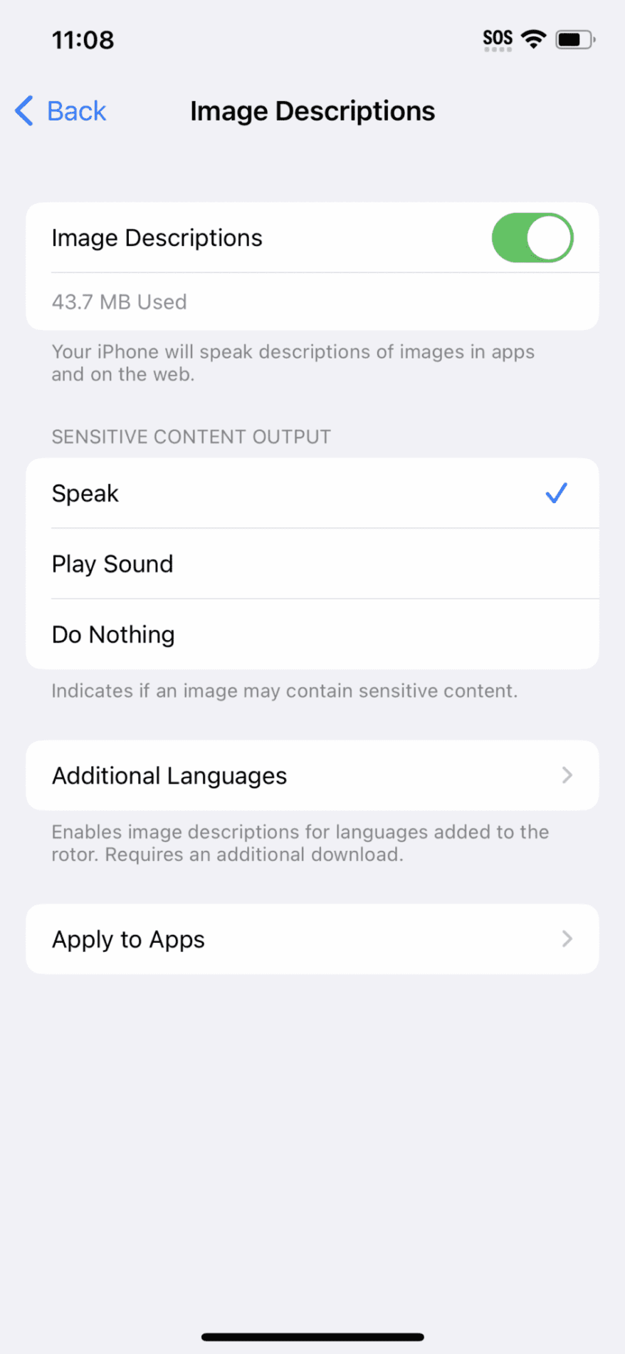Screenshot of VoiceOver tool
